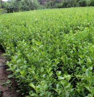 ���ع��� �����S�� ���~�S��