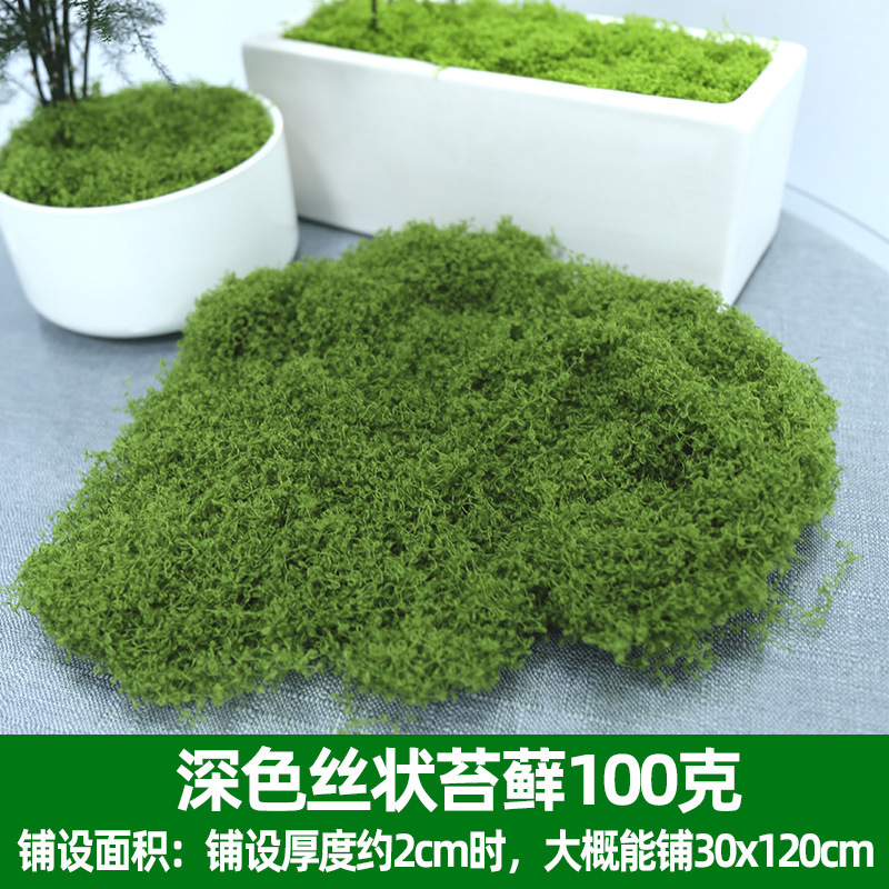 仿真苔藓绿色假青苔背景装饰 植物墙草坪微景观仿真苔藓草皮青苔|undefined