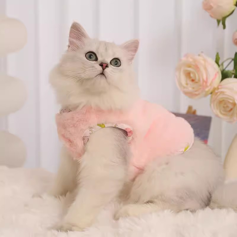 Ropa de gato invierno mascota paño muñeca gato gatito chaleco Otoño e Invierno gatito otoño cálido chaleco anti-pelusa