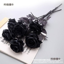 ��õ�廨��ɫѩ��ɫõ�廨�佁���b���ϵ���L�����ջ��^��̫��
