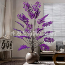 ���R�d�羳�¿����Gֲ��ɢβ���ؙ����f�}���}�Q������ϵ��ֲ��