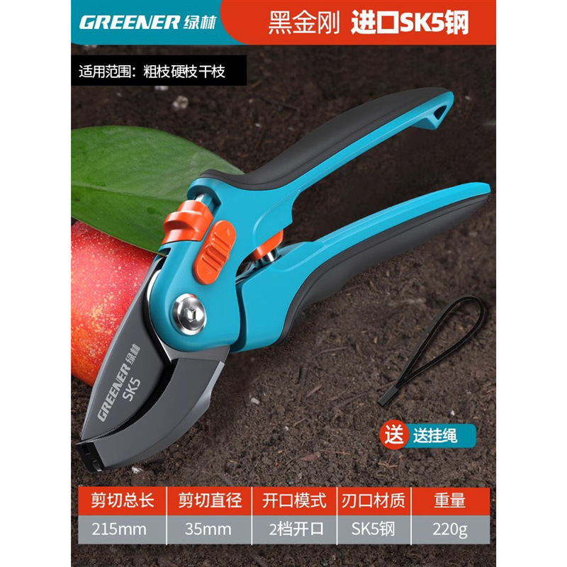 Tijeras florales Artesanía alemana Ramas de frutas Tijeras de ramas Cuchillos Tijeras de poda Bosque verde Jardinería Poda importada Envío gratis