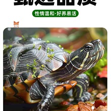 ���A�������wС���������^�p���������B�ͻ��L�������������