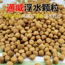 ���~�_���N��ڿ��a�~���~��ˮ�w��ͨ���~��ϸ�ˮ�w�����D��