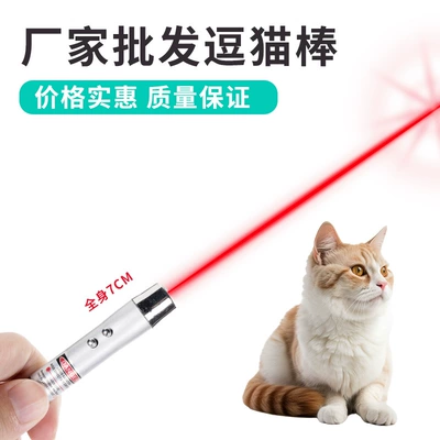 UV fənərlər Flashlight Toy Multi-function Money
