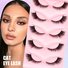 �F؛�匦�Ͻ�ë�W���羳���NCat Lash��β����5���¿�؈�ۼٽ�ë