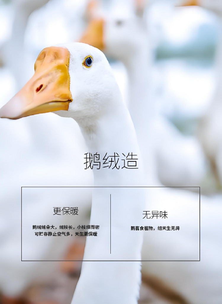 Áo phao nam dáng ngắn nhẹ cổ bẻ lông vịt trắng giữ ấm mùa thu đông — màu đen chi tiết 2