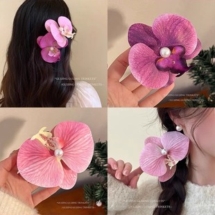 �Շ��з�ɫ�����m�l�A��߅����A���������滨��l���A���^l�