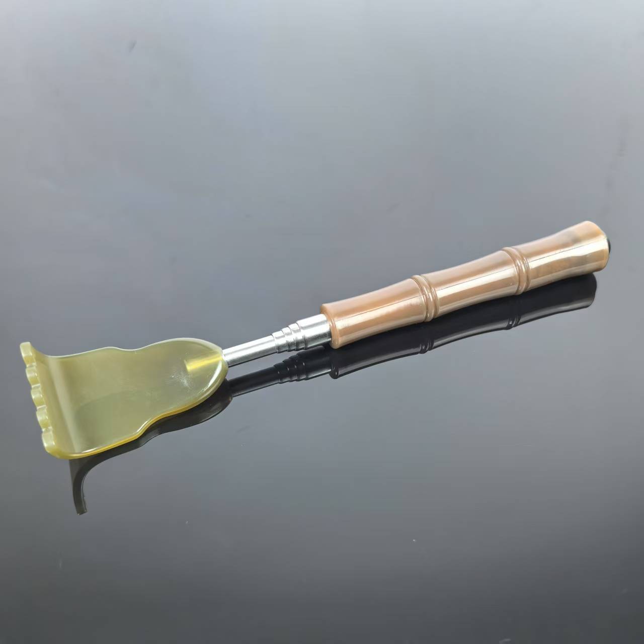 대나무 갈색 가려움증