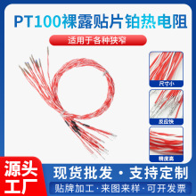 ���lPT100l��¶�K�����ضȂ����������NƬ�y��̽�^PT1000���ż