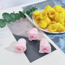 ����õ�廨��֬���z������������ɭϵ�pɫ�ɻ��滨�Ʒ�������