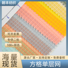 工厂现货批发经编涤纶方格单层网布 箱包手袋家具网眼布面料