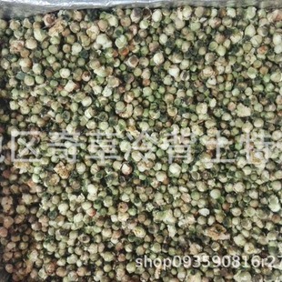 ѩ÷��,ɽ�軨,���l��ș��ѩ÷��,���ݲ���ɽѩ÷��