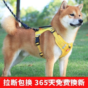 Vest-Type Dog Leash for Small and Medium-Sized Dogs, Shiba Inu, Corgi, Special Puppy, Adjustable Harness, Dog Walking Leash