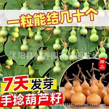 �ļ���������С���J�N���^�p������J�N����С��Ȼ����N�Ӵ�ȫ