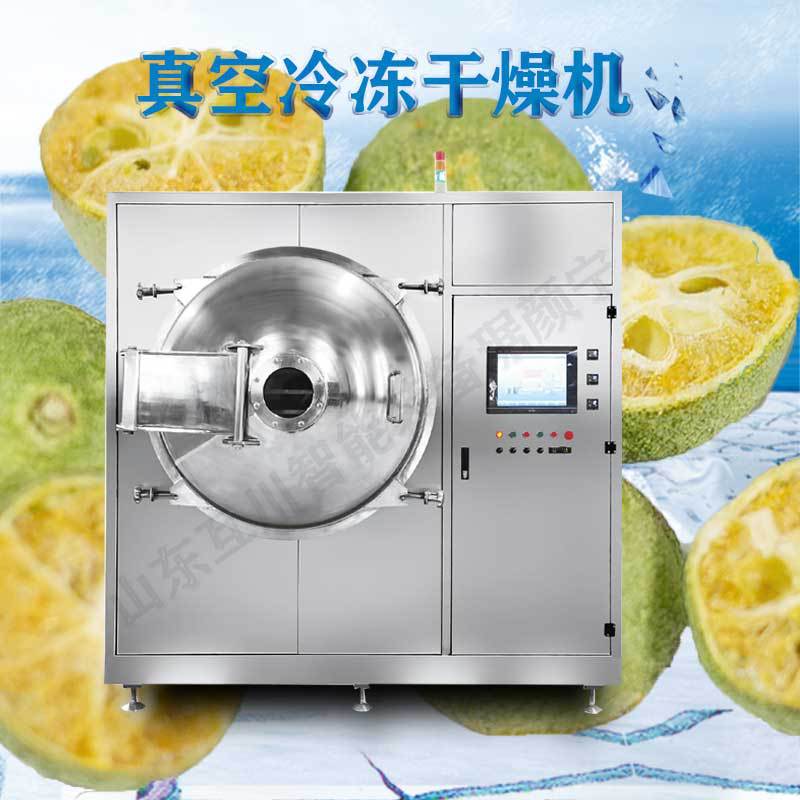 食品羊奶粉真空冷冻干燥机 水果真空芒果桑葚低温冷冻干燥机商用