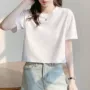 宽松夏季女短袖新款上衣
