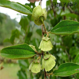 ɢ�b�R���ӷN�� ���ڌ��� �R�״��F�h�ʠ����|��һ���B��վ�����l