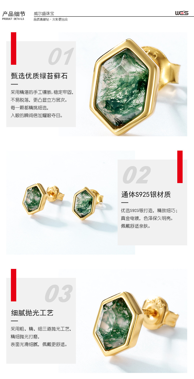 绿苔藓模版-(3).jpg