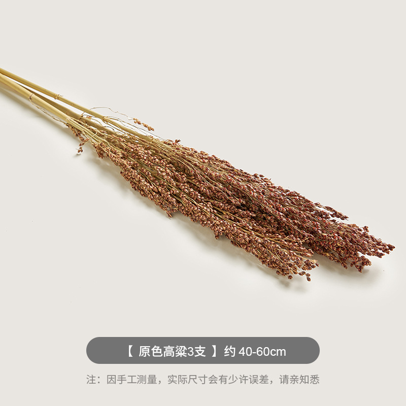 오리지널 컬러 수수 스틱 3개