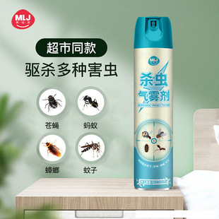 Wholesale Insecticide Spray Whole Box Household Indoor Insecticide Mosquito Fly Cockroach Insecticide Aerosol