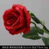 Single -branched rose
