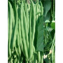 ߮aļNļܿǷNӴܶN߲˷N