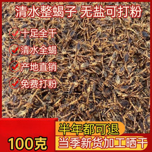 ϐ����ș�� ȫϐ�o�}��ˮϐ�� ʮ��ȫ��؛ȫ�xϐ��100�˰��]ȫϐ