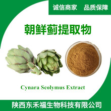 rEȡ10:1 EECynara Scolymus Extract 1kg