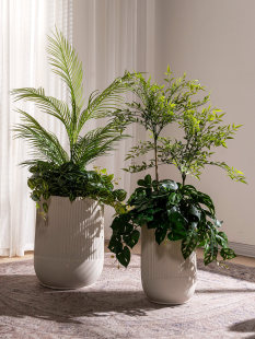 ��ڏ����������V�͏d�̨������lؔ���̖�Gֲ�Nֲ�����������