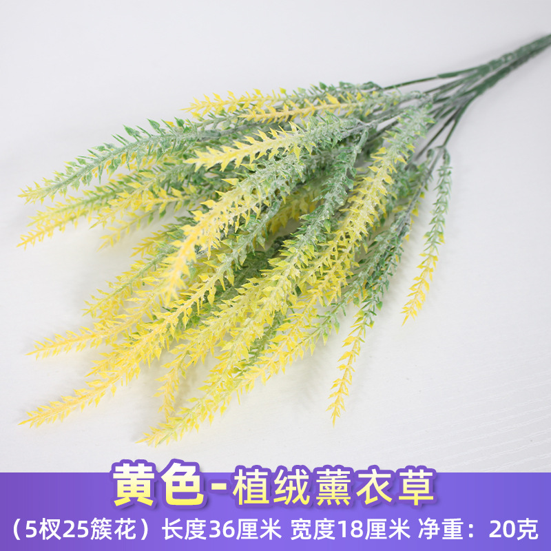 Lavanda Aterciopelada Amarilla