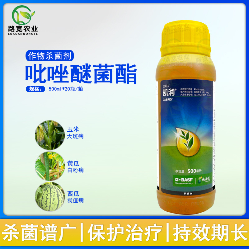 巴斯夫凯润 吡唑醚菌酯霜霉病叶斑病白粉病炭疽病农药杀菌剂500ml