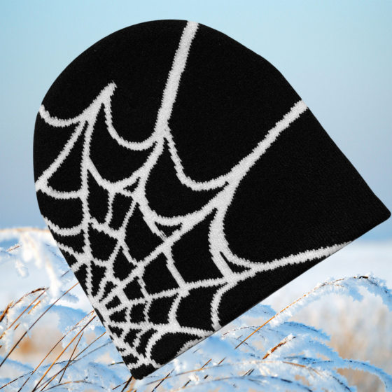 2024 cross-border new spider mesh jacquard hat autumn and winter cold warm wool hat European and American cold hat men and women popular