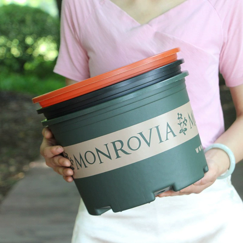 Корень второго поколения галлона горшки утолщенные балконы