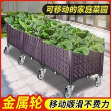 ��݆�N��������ͥ�̨���÷Nֲ�����L�������ϻ�����Ñ��⻨��