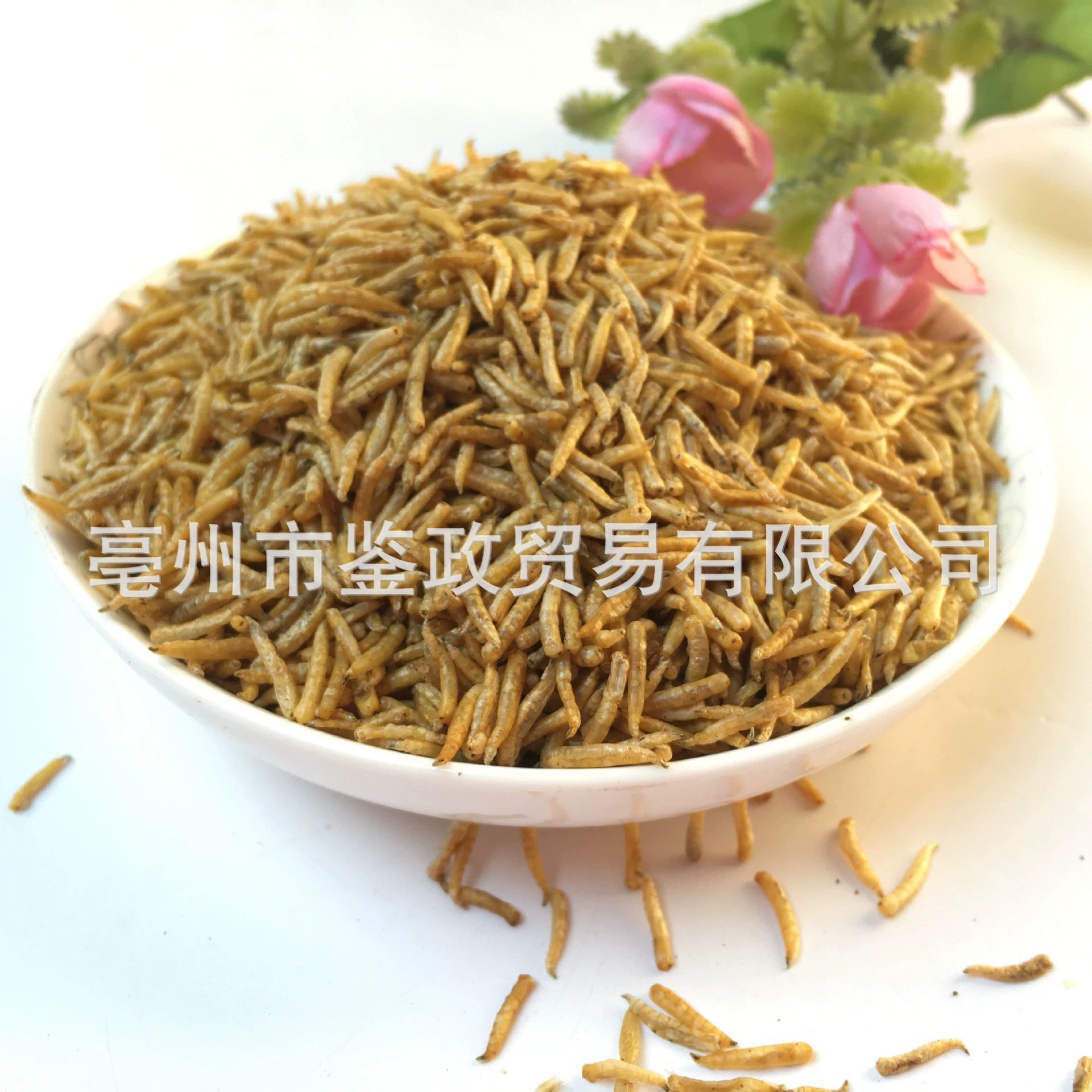 Dried Maggot Larvae Wu Gu Chong Boneless Insect Feed 500g Bag key features
