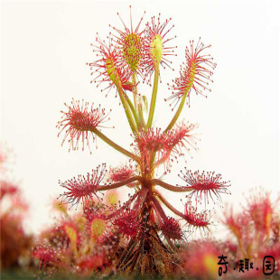 é��˲��x��ճ�x�����؃r���]��ω���i�\���������]