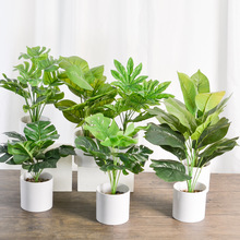 �羳���R�d����ֲ���R���~����ֲ���f�������ԼҾ��ҕ������[��