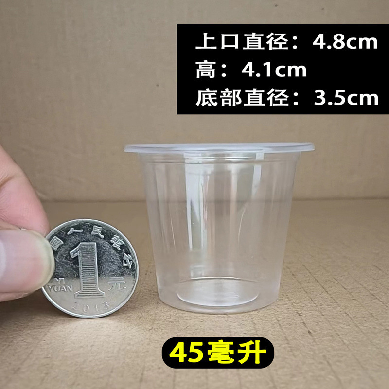 试饮小杯子品尝试吃杯一次性小号迷你超小口杯试喝白酒杯|undefined