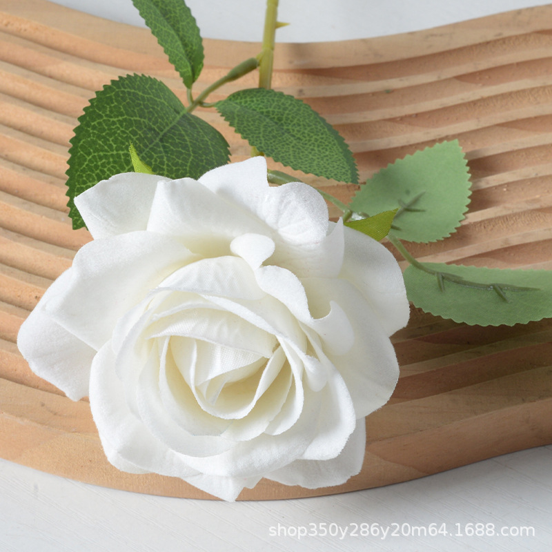 Blanco