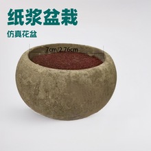 ���{��S�� ���lֲ�q��ĭ���f�͹ſɽ��⻨�����ֲ��羳�ȼ���