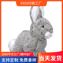 �ɐ�С���ù���ſſ��ë�q��߷���������ż������ƴ�Ӱ������