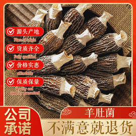 福建羊肚菌干货批发古田干羊肚菌食用菌蘑菇散装批发