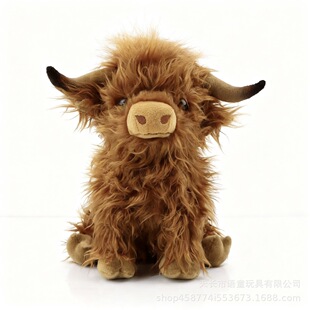 HighlandCow �K���m�ߵ�ţ�Lë�q���ţ����ϵ��������żë�q����