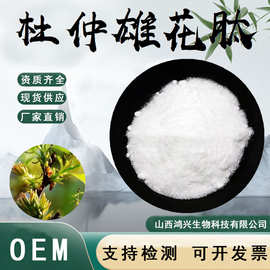 杜仲雄花肽99% 杜仲雄花提取物小分子活性肽药食同源植物萃取现货