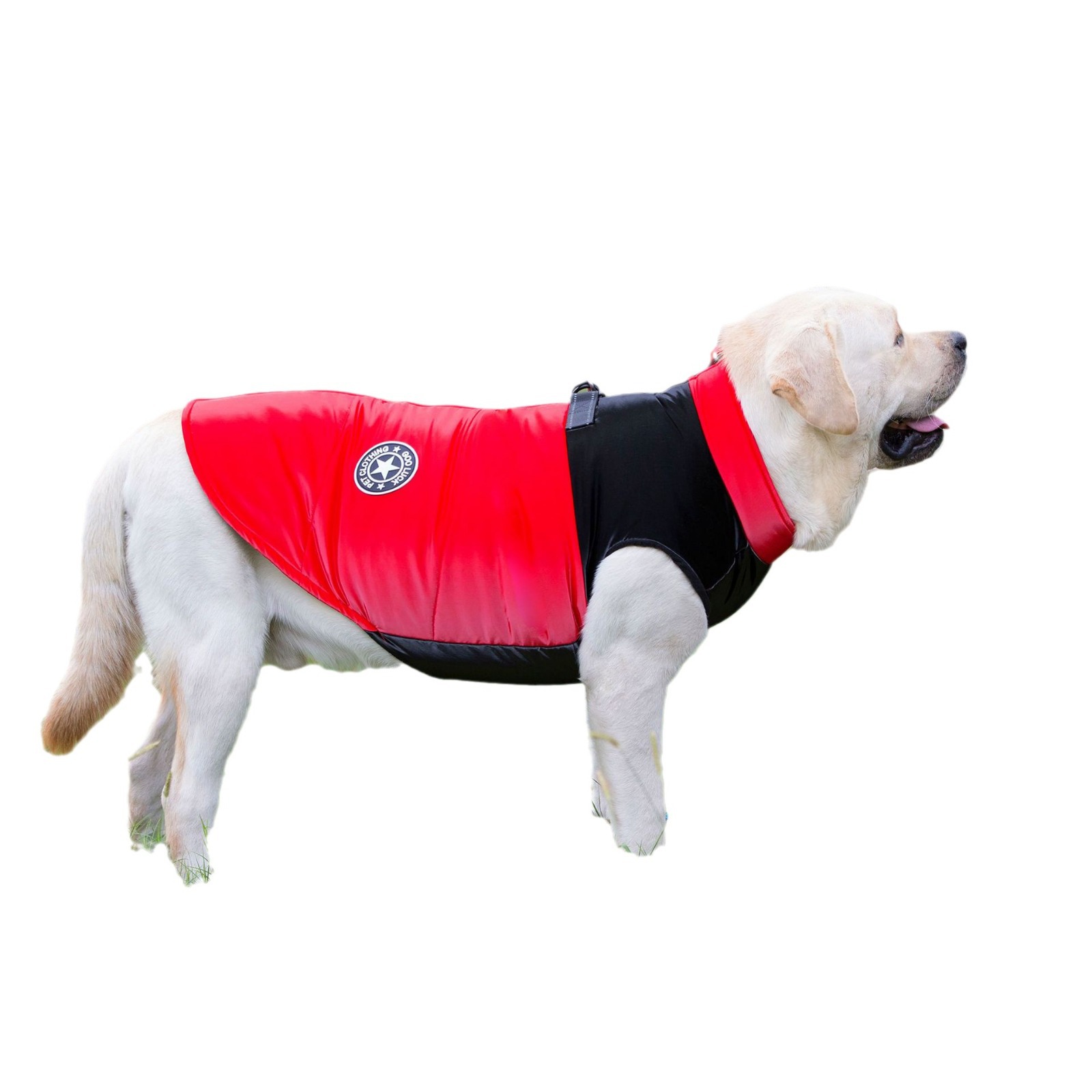 Ropa para mascotas ropa para perros grandes ropa para mascotas Golden Retriever ropa para mascotas invierno nuevo 22 motocicleta chaleco
