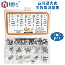 300PCS����ѷ��װ��˿304����ֻ�����˿�����ǰ��˽�����˿��װ