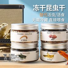 爬宠冻干面包虫蟋蟀干饲料鬃狮守宫蜥蜴昆虫食物高蛋白营养龟饲料
