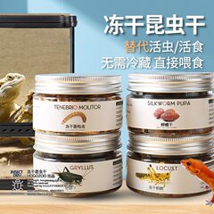 爬虫類用フリーズドライミルワーム、バッタ、乾燥飼料、ジャックルーサル、トカゲ、昆虫の餌、高たんぱく栄養亀の餌