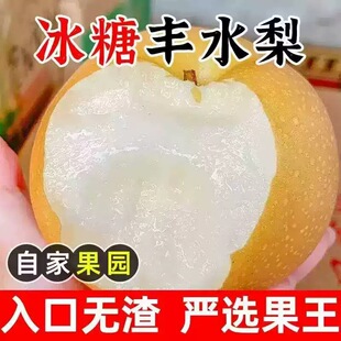�����Sˮ���r���SƤ��ˮ���������r����ѩ���ӱ�Ƥ5����������l